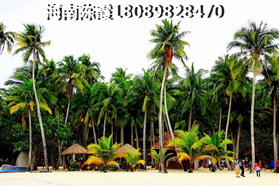 太阳谷国际康养生活社区房价下跌成为趋势了吗