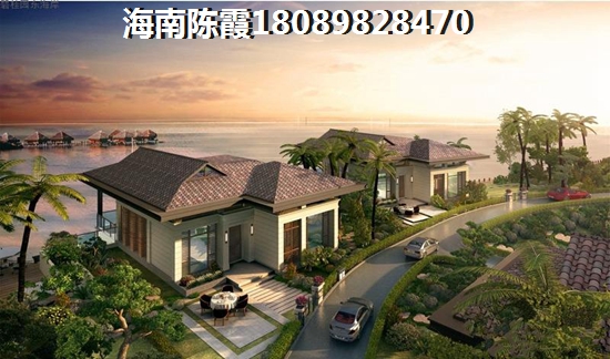国电金海域
